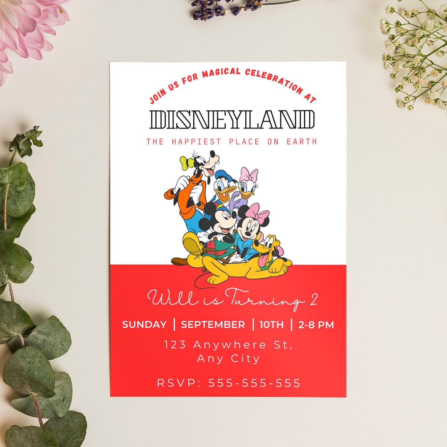 Happiest Birthday On Earth Disneyland Birthday Invitation Template