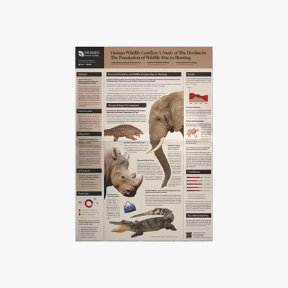 9 Research Poster Template Bundle | Academic Scientific Medical Research Case Study Poster Templates | Adobe Indesign CreativeRino