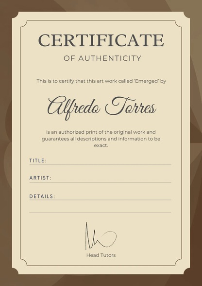 Certificate of Authenticity Template | Authenticity Certificate - CreativeRino