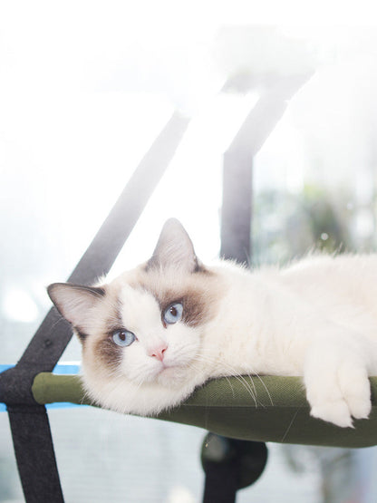 Premium Window Sill Cat Hammock & Hanging Perch | Heavy-Duty Suction Cup Cat Bed Swing for Indoor Cats CreativeRino