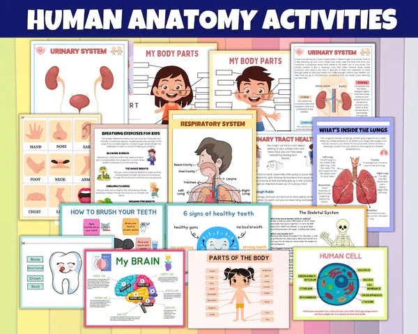 60000+ Preschool & Kindergarten Printable Activity Worksheets Bundle - CreativeRino